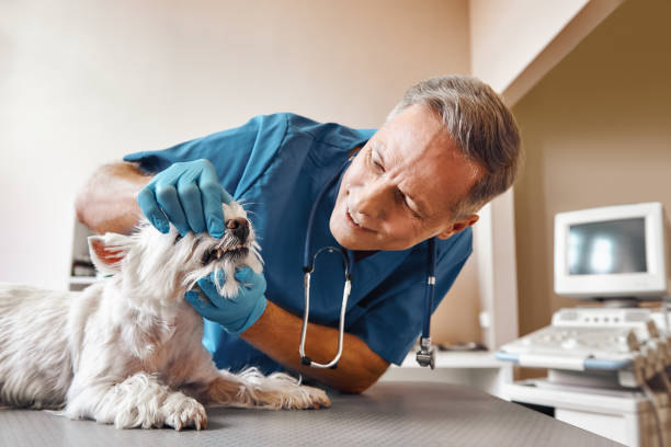 Best Emergency Root Canal Treatment in Levittown, PA